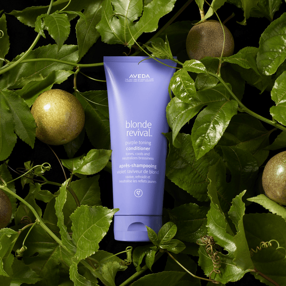 Blonde Revival Conditioner