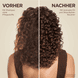 Shampoo Avocado-Öl Und Sheabutter