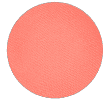 Small Eye Shadow Pro Palette Matte Coral