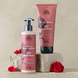 Soft Wild Rose Moisturizing Body Lotion