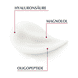 Volume-Lift Tagespflege trockene Haut