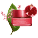 Multi-Intensive Rose Radiance
