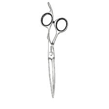 Forbici per capelli Heron 5,5