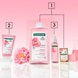 Pfingstrose Bio Serum
