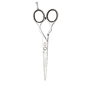 PreStyle Ergo P 6.0 Hair Scissors