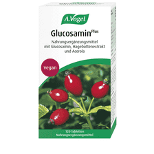 Glucosamin Plus - 120 Tabletten