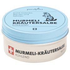 Murmeli Herbal Ointment Cooling