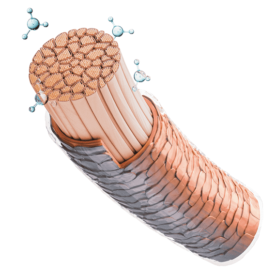 Moisture Kick Conditioner