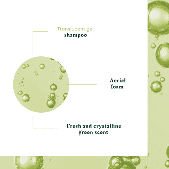 Shampooing expanseur