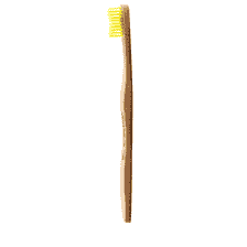 Toothbrush Adults Yellow
