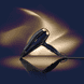 Hairdryer Black Onyx 5911CHE