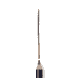 Eyebrow Definer