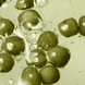 Organic Seeds Green Peas Shampoo Scalp Care