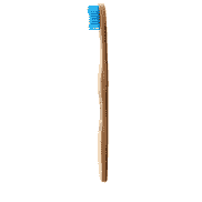 Toothbrush adults blue