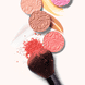 Tool-Expert Dual-Ended Liquid & Powder Brush