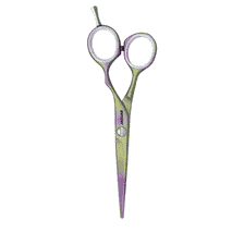 Sunshine 5,5 forbici per capelli