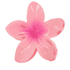 Frangipani Set Pinces À Cheveux & Clip