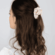 Transparente Klemme und 2 Scrunchies