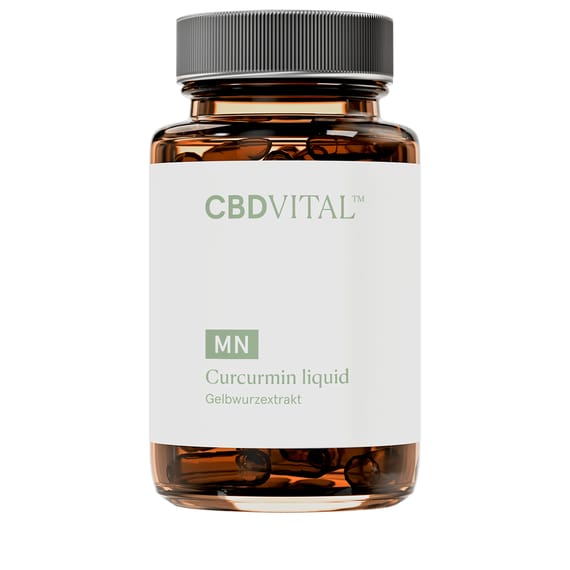 Curcumin Liquid - 60 Capsules