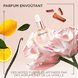 Huile Glaze Drops