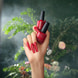 Magical Botany