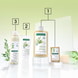 Shampoing à l'avoine bio