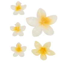 Frangipani Set Pinces À Cheveux & Clip - Jaune