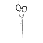 Diamond E 6.5 Hair Scissors