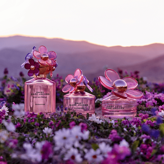 Daisy perfume purple outlet