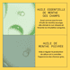 Scalp + Hair Conditioner