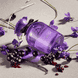 Violet Eau de Toilette