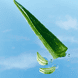Lotion pour le corps Aloe & Soin 