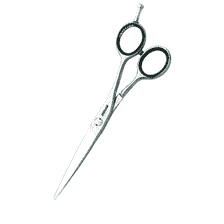 Dynasty E 5,75 forbici per capelli