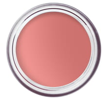 Pot Rouge Velvet Matte Muted Peach