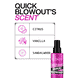 Quick Blowout Spray