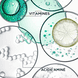 Bain Divalent (Shampoing)