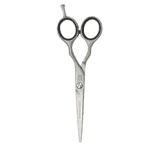 Ciseaux à cheveux PreStyle Ergo 6.0