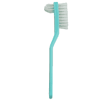 Denture Brush