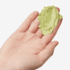 Avocado Nourishing Hydration Mask