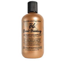Repair Shampoo