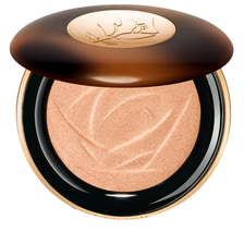 Teint Idole Ultra Wear Highlighter 02 Medium Glow