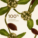 Extra-Firming Day Cream SPF15 [COLLAGEN]³ Technology