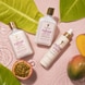 Hydration Shampoo