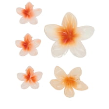 Frangipani Set Pinces À Cheveux & Clip - Orange