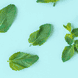 Filo Interdentale alla Menta 50 m