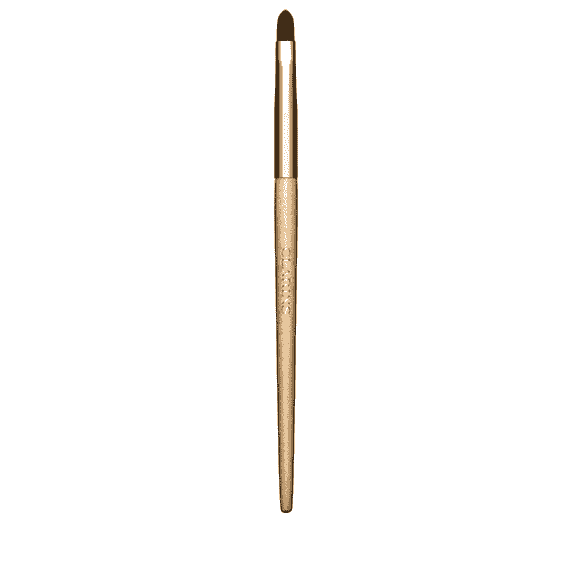 Lip Brush