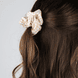 Transparente Klemme und 2 Scrunchies