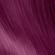 Colorsmetique - C20 Purple Aubergine