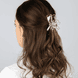 Transparente Klemme und 2 Scrunchies