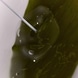 Algae Organic Kelp Mask